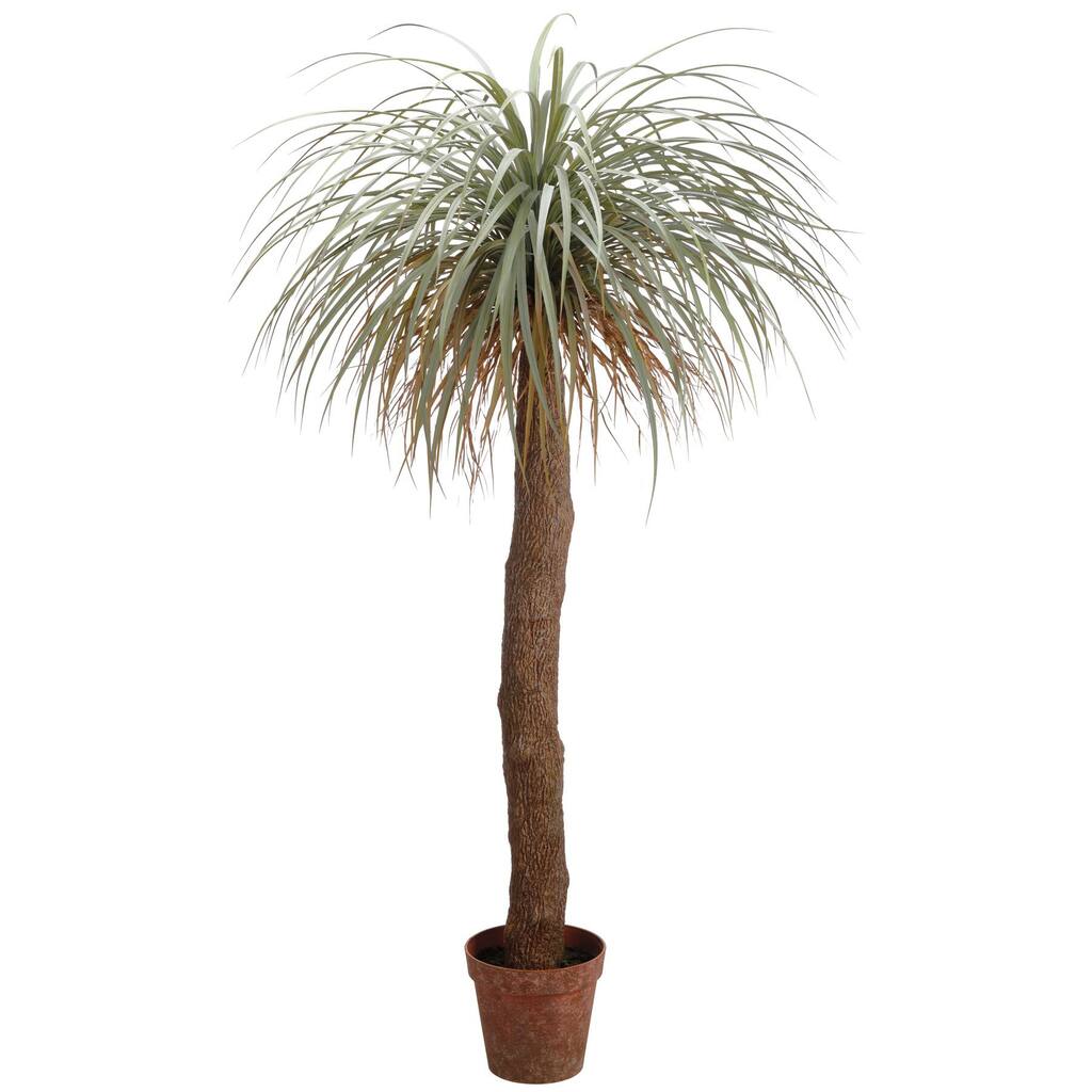 Purchase The 6ft Desert Palm Tree At Michaels